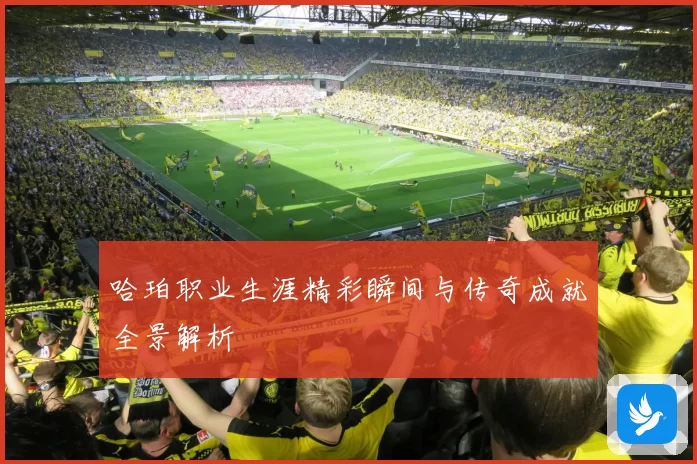 哈珀职业生涯精彩瞬间与传奇成就全景解析