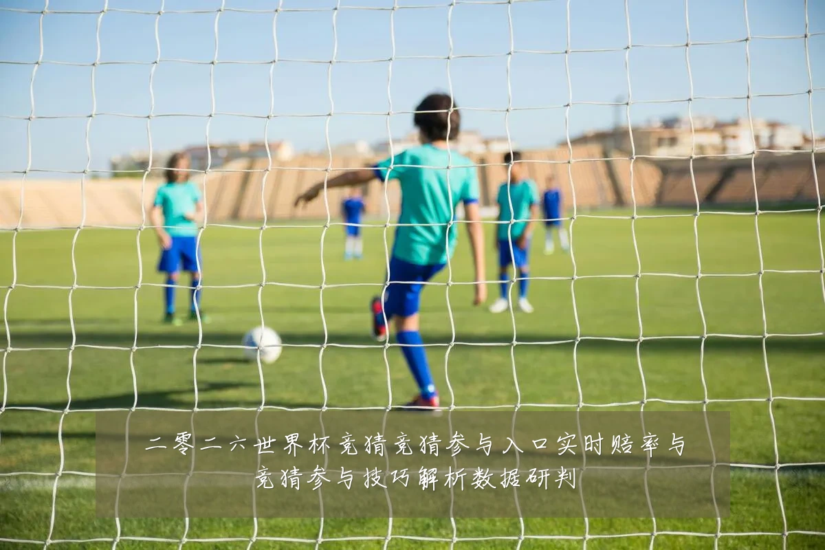 二零二六世界杯竞猜竞猜参与入口实时赔率与竞猜参与技巧解析数据研判